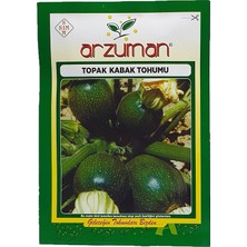 Arzuman Topak Kabak Tohumu 10 Gram Yüksek Verim Özellikli Türkiye Menşeli Tohum
