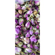 Botahia Arge ve Bitkisel Teknoloji Gül Tomurcuk