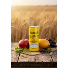 Multimalt  Bitki Özlü %100 Elma,Mango ve Malt Suyu