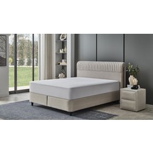 Lova Yatak Bolia Baza