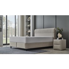 Lova Yatak Bolia Baza