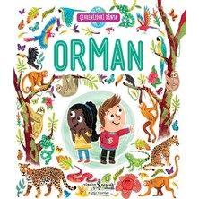 Orman - Çevremizdeki Dünya