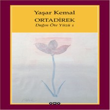 Senka Ortadirek - Dağın Öte Yüzü 1