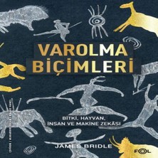 Senka Varolma Biçimleri –, Hayvan, Insan ve Makine Zekâsı
