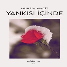 Senka Yankısı Içinde