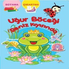 Senka Uğur Böceği Deniz Kıyısında