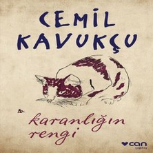 Senka Karanlığın Rengi