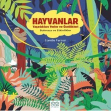 Senka Hayvanlar - Yaşadıkları Yerler ve Özellikleri