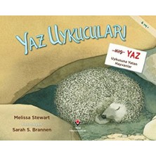 Senka Yaz Uykucuları Yaz Uykusuna Yatan Hayvanlar