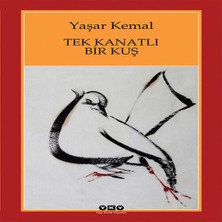 Senka Tek Kanatlı Bir Kuş