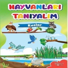 Senka Muhteşem Çizimler ve Kolay Anlatım ile Hayvanları Tanıyalım Kuşlar