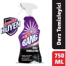 Cillit Bang 750 ml Derz Temizleyici Sprey, Maksimum Hijyen ve Ferahlatıcı Koku Özellikli