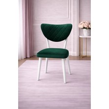 ProBella Elma Mutfak Sandalyesi Yemek Odası Bahçe Balkon Otel Restoran Kafe Sandalyesi