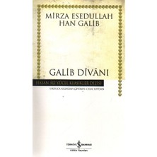 Galib Divanı - Hasan Ali Yücel Klasikleri