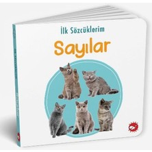 Ilk Sözcüklerim - Sayılar