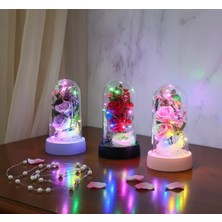 Işıklı Müzikli Romantik Fanus Tekli Gül