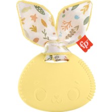 HRB19 Fisher-Price Sensimals Dişlik Seti