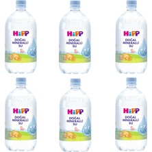 Hipp Doğal Mineralli Su 1 Lt x 6 Adet