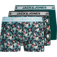 Jack & Jones Bird Leaves Erkek 3'lü Boxer (12291168-BDT)