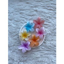 6'lı Set Lotus Toka Renkli