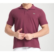 Lacoste Polo Clasıc Fit Patlıcan Mor
