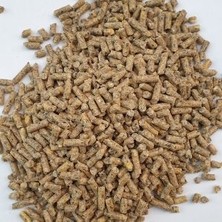 CP Kuzu Büyütme Yemi 5 kg Pelet Yemi Lezzetli ve İştah Açıcı Özellikte