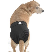 Petza Köpek Çamaşır Tailo Küçük, Orta ve Büyük Irk Köpekler için