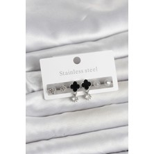 Clariss Ashwork 316L Çelik Gümüş Renk Yonca Detaylı Kadın Küpe Seti 587455