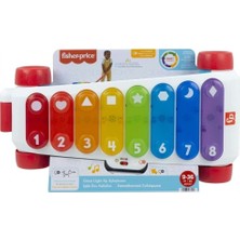  fisher price oyuncak ışıklı dev ksilofon hjk36