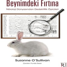 Feifei Beynimdeki Fırtına