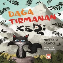 Senka Dağa Tırmanan Kedi