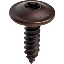 İnnovareauto Audi, Volkswagen Için Torx Uyumlu Davlumbaz T20 Vidası