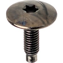 İnnovareauto Peugeot, Citroen Için Torx Uyumlu Davlumbaz T30 M6 Vidası