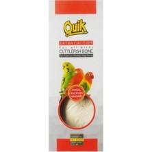 Quik Kutu Orta Boy Mürekkep (Kalamar) Balığı Kemiği 1 Ad