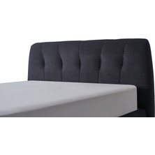 Lova Yatak Master Başlık