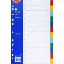 Noki A4 Seperatör 12 Renkli Plastik A4 59126