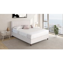 Lova Yatak Eliss Baza