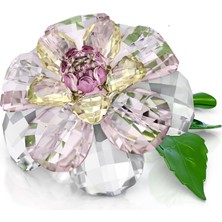 5721538 Swarovski Ev Dekorasyonu Florere:camellıa