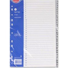  noki seperatör 1-31 rakamlı plastik a4 59231