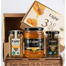 3lü Set Engür Organik Süzme Çiçek Ham Bal 250 gr + Engür Organik Arı Ekmeği 90 gr + Engür Organik Polen 100 gr