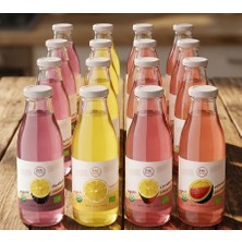 12 Li Set Eya Organik Sade ve Meyveli Limonata Çeşitleri 250 ml (Sade-Çilekli-Böğütlenli-Karpuzlu)