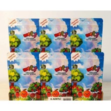 6 Lı Set Meloş Organik Mini Karışık Meyveli Lokum Küpleri 100 gr
