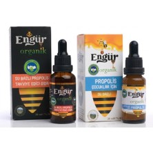 2li Set Engür Organik Su Bazlı Çocuk Propolis 20 ml + Engür Organik Su Bazlı Propolis 30 ml