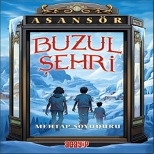 Senka Asansör 1 Buzul Şehri