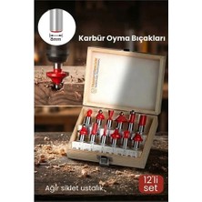 DS LLC Retroieg™ Profesyonel 12'li Ahşap Freze Ucu Seti 8mm Şaft | Rulmanlı Karbür Oyma Bıçakları