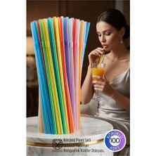 DS LLC Retroieg™ Gökkuşağı Serisi: 100’LÜ Esnek Körüklü Lüx Içecek Pipeti – 22 cm Prem