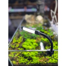 Orionled Nano Fanus Mini Akvaryum Aydınlatma Armatürü