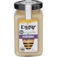 Engür Organik 3'lü Yetişkin Karışımı 200 gr