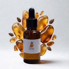 Terra Point Art Amber Esansı 50ML