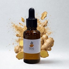 Terra Point Art Zencefil Esansı 50ML